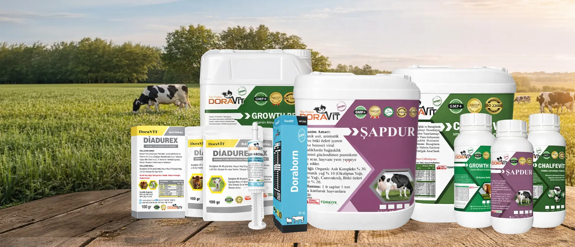 Verimde İstikrar, Sağlıkta Güvence